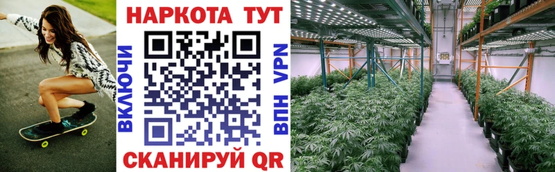 Где можно купить наркотики Назарово ГАШИШ А ПВП АМФЕТАМИН Меф мяу мяу Псилоцибиновые грибы КОКАИН Бошки Шишки