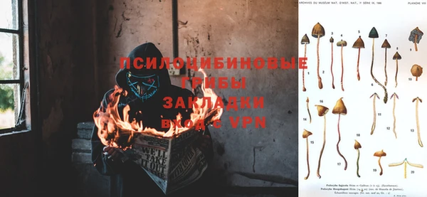 стафф Волосово