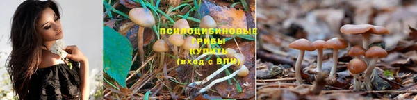 скорость mdpv Волоколамск