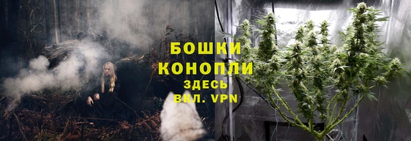 стафф Волосово